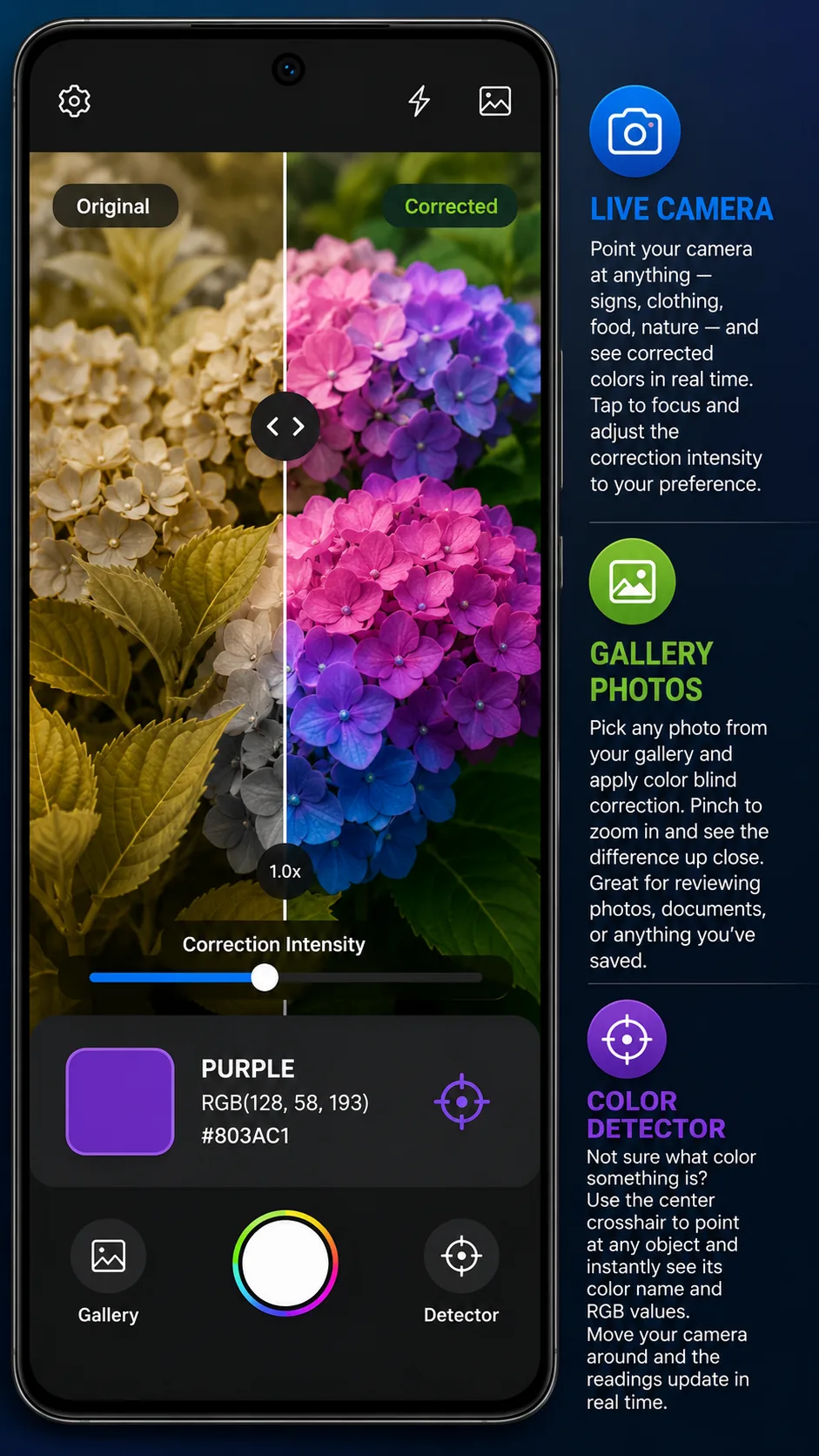 Color Blind Camera home screen
